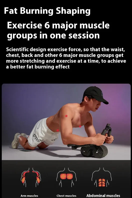 Automatic Rebound Abdominal Wheel Stylio